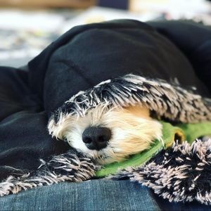 Meet your Posher, Monica